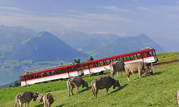 Vitznau-Rigi Bahn, Rigi, Vierwaldstättersee Region / Vitznau-Ri