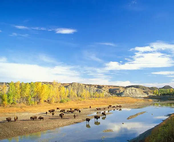 Top 5 hidden gems in North Dakota 17 Theodore Roosevelt National Park