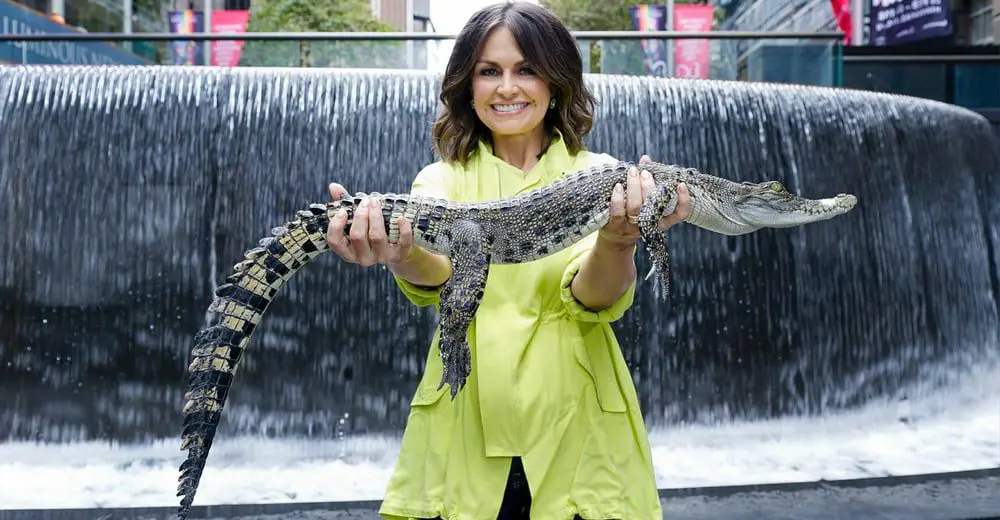 A virtual look at the Top End