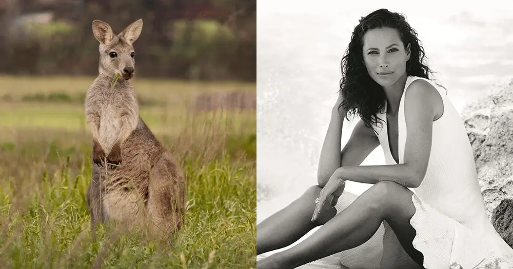 What’s going on down at Wolgan Valley?