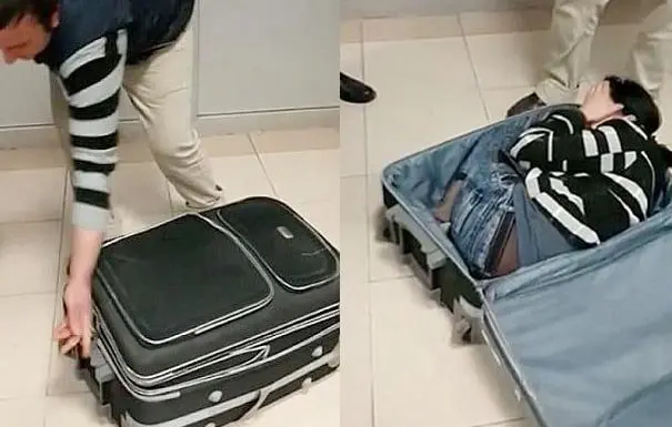 Random travel news stories we loved this week 19 travel news Woman in luggage