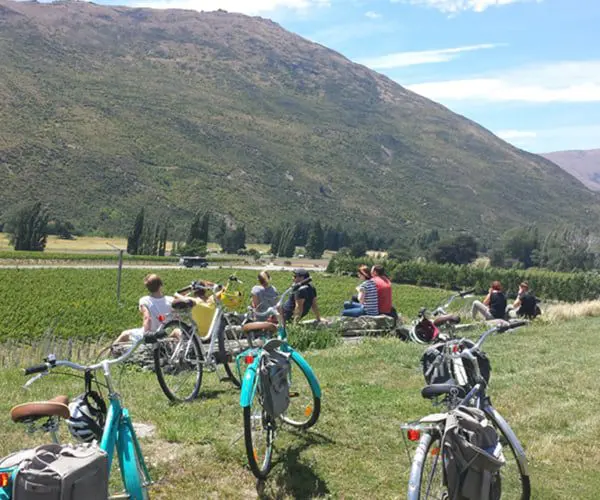City Guide: Queenstown 23 bike