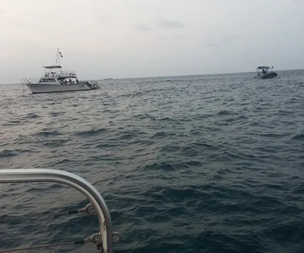 Night snorkelling with the mantas off the Kona coast 11 hawaii3