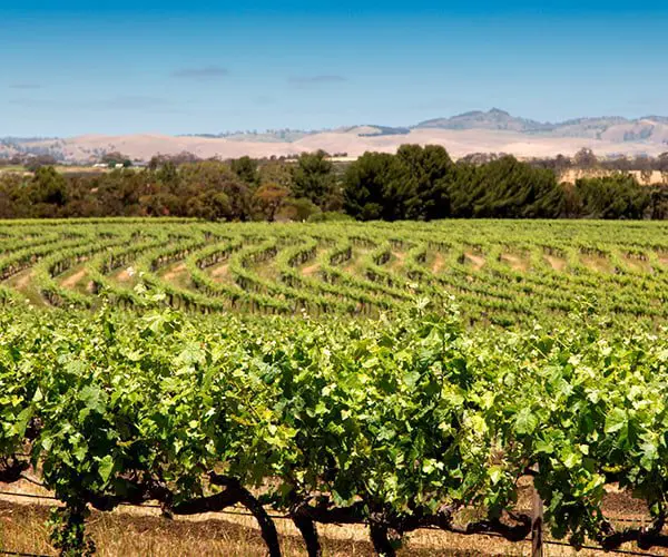 Check out a dazzling choice of luxury offerings in Australia! 23 lux2