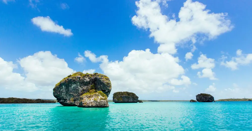 5 New Caledonian food experiences you've gotta sink your teeth into