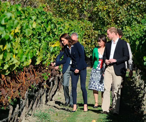 City Guide: Queenstown 24 wine