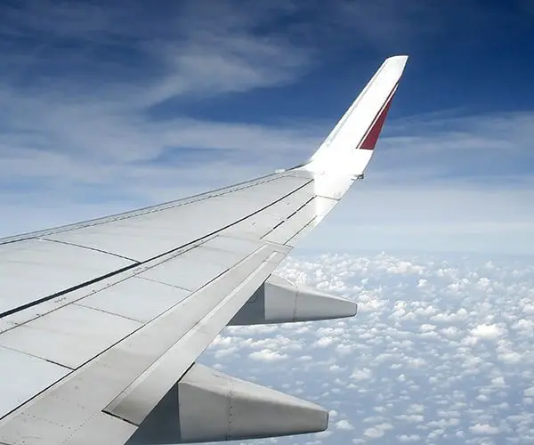 If you do these 4 things, your tourist level is beginner 1 wing