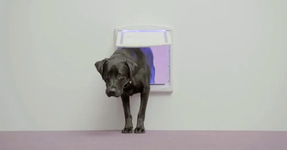 What if April fool pranks became real?