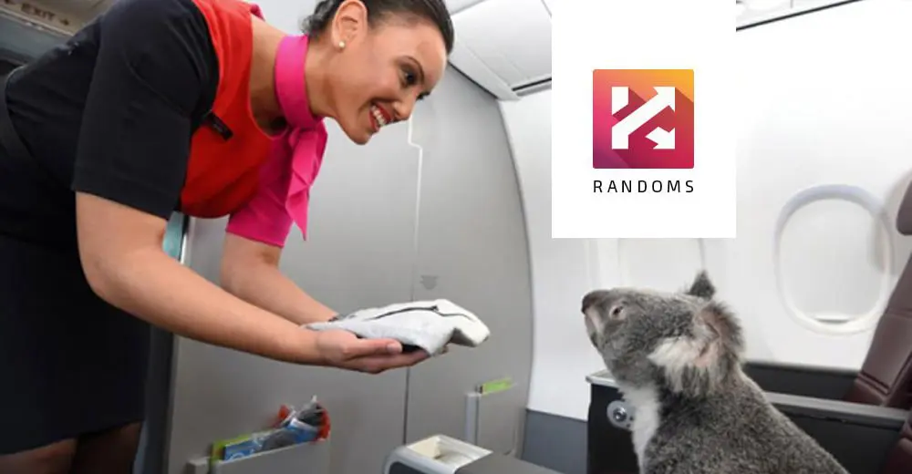 Random travel news stories we loved this week