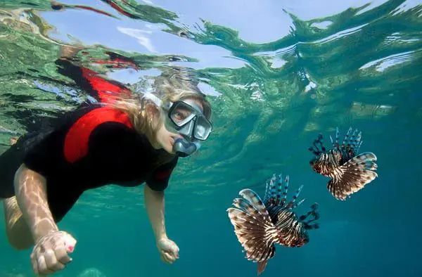 Going to LA? 5 reasons to stop by Fiji on your way 19 Fiji scuba diving