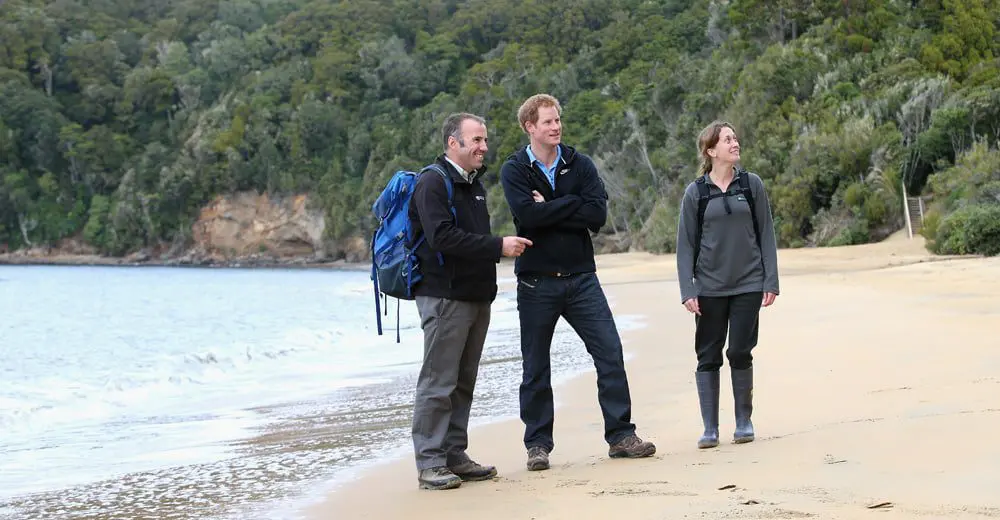 Harry's Kiwi adventure