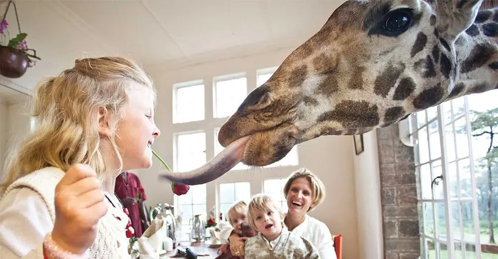 10 weirdest hotels around the world