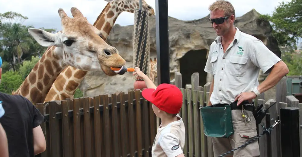 Top 5 places in Aus to see African animals