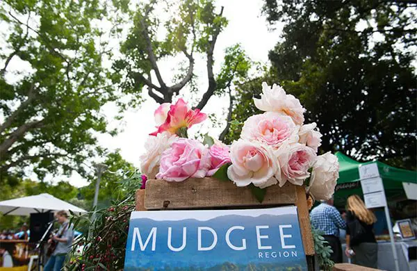 Pyrmont Festival + Mudgee Region celebration! 2 post