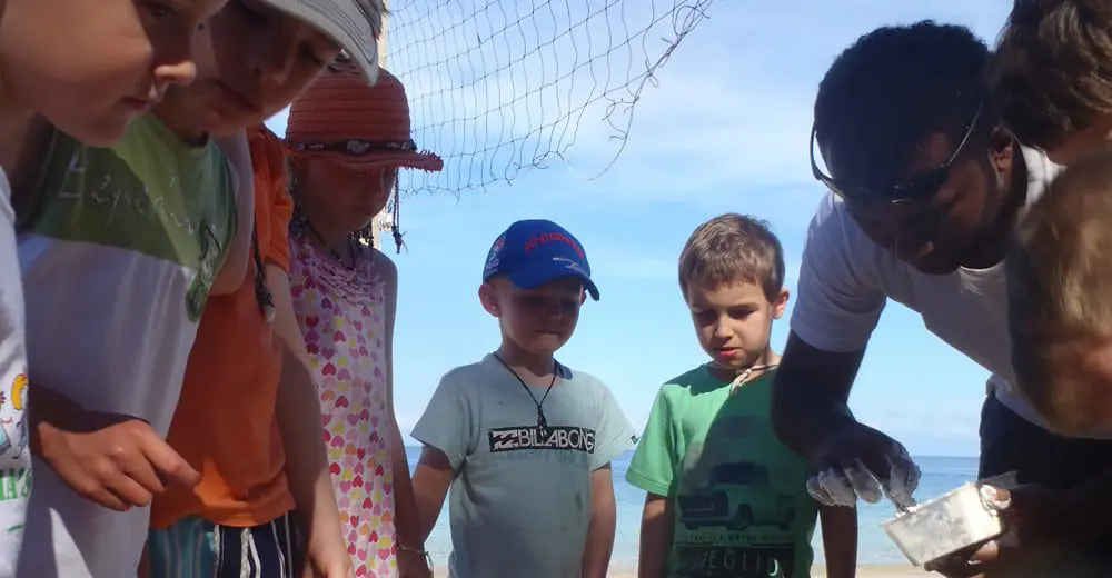 Outrigger's OZONE reef assistance