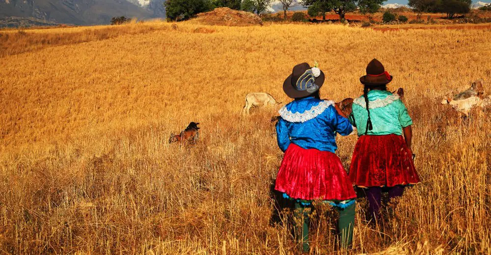 Orale! &Beyond expands into South America