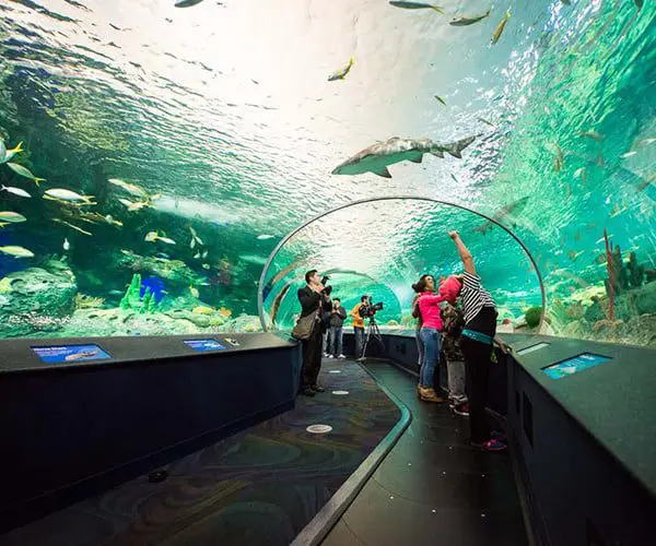 City Guide: Toronto 5 aquarium