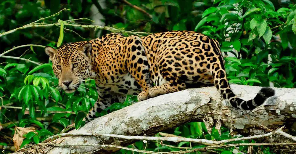 Top 3 natural wonders of Peru