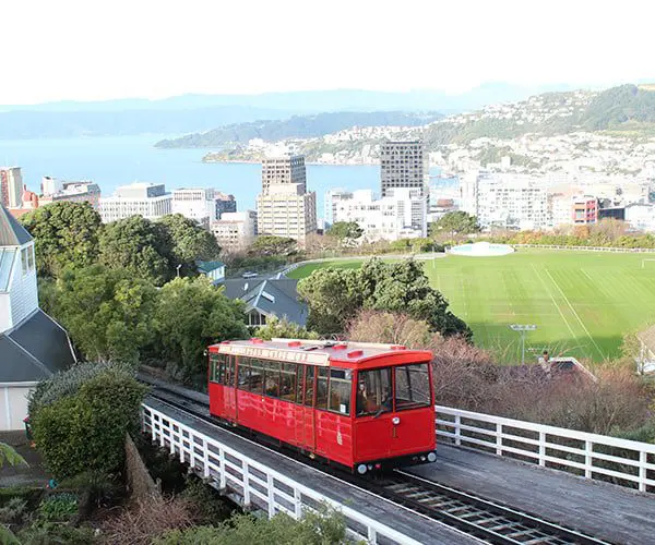 48 hours in Wellington on a budget 64 10