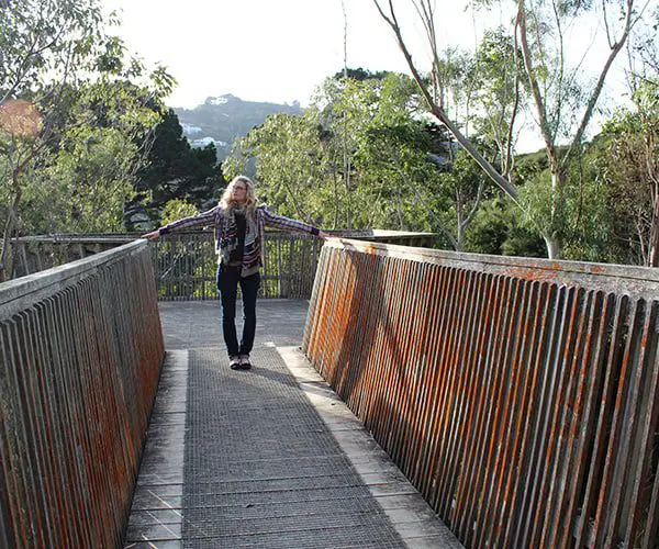 48 hours in Wellington on a budget 65 11