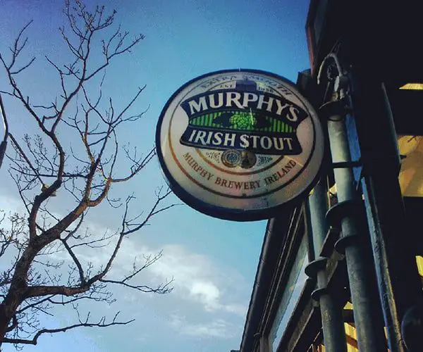 48 hours in Wellington on a budget 71 17