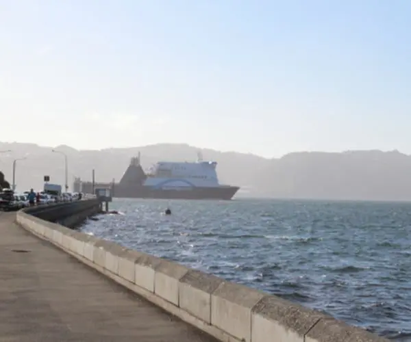 48 hours in Wellington on a budget 57 3