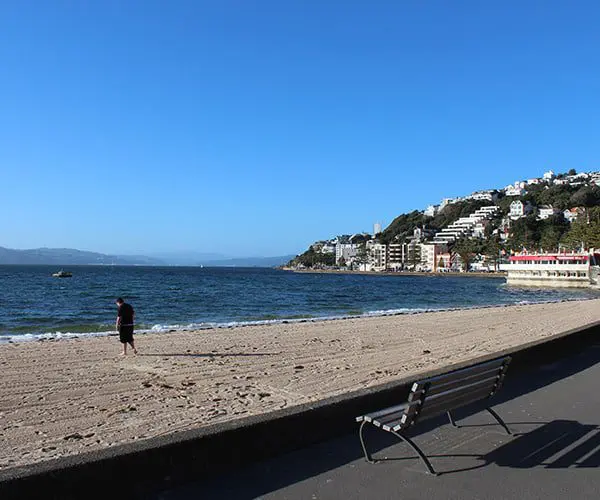 48 hours in Wellington on a budget 58 4