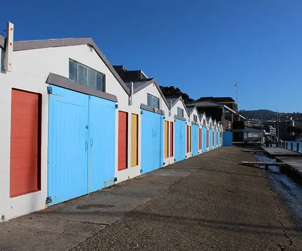 48 hours in Wellington on a budget 60 6