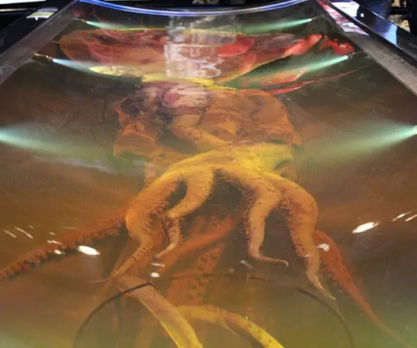 48 hours in Wellington on a budget 62 8