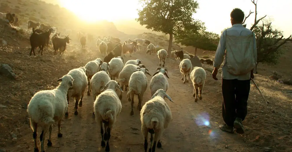 24 attractions tourists need to add to the bucket list