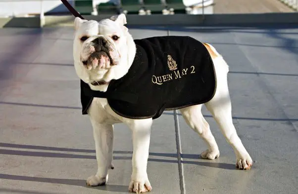 3 major changes coming to Cunard's Queen Mary 2 9 Queen Mary 2