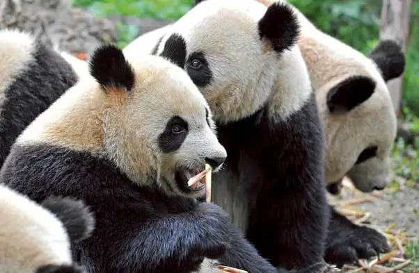 Fri 17 July: 10 travel news stories you need to know today 44 Scenic