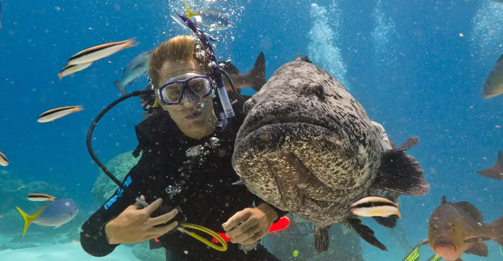 Mon 20 July: 10 travel news stories you need to know today 31 travel news fish feature