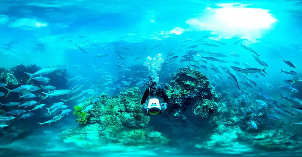 Escape reality with Hamilton Island