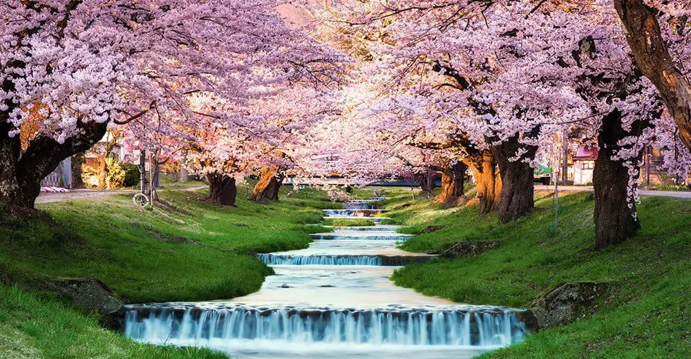 GOING NORTH! HERE'S WHAT AWAITS YOU IN JAPAN'S NORTHERN REGIONS