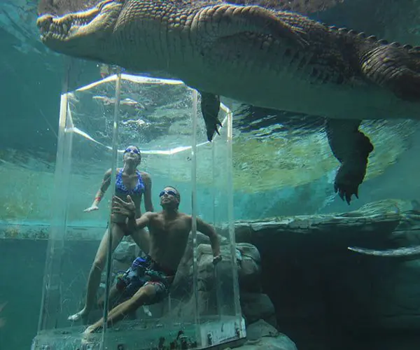 Top 5 family-friendly spots these school holidays 1 Photo: vicespy.com