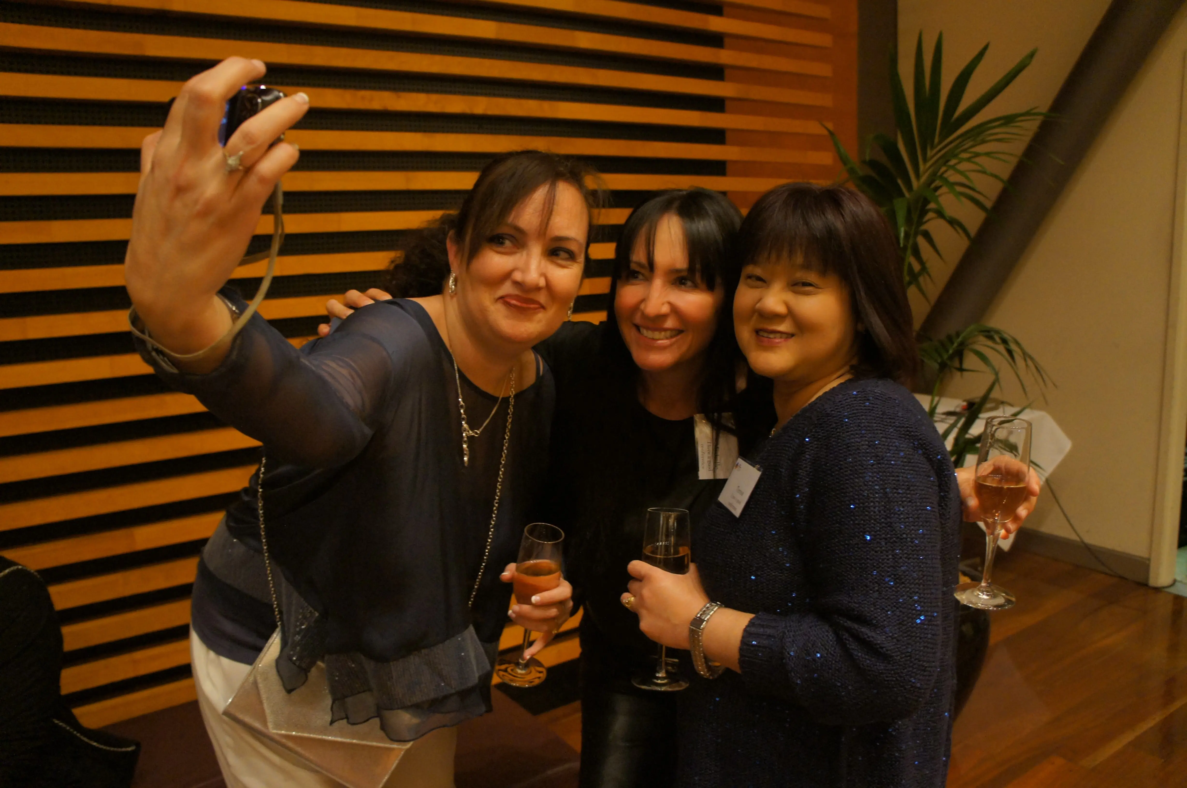 SONY DSC