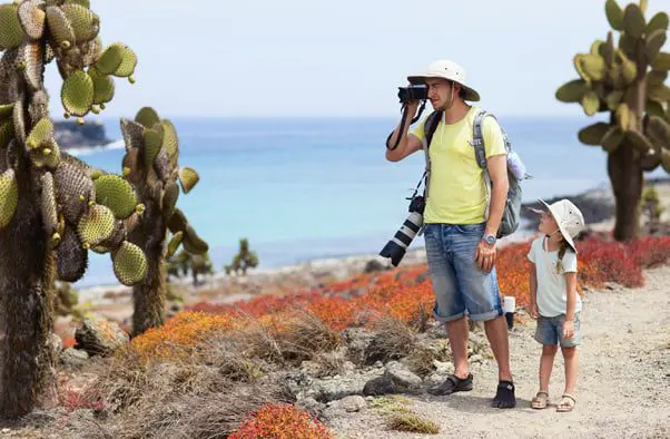 travel news Eclipse Travel