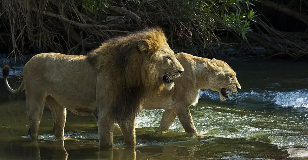 SA Tourism helps bring Nat Geo Live to Australia