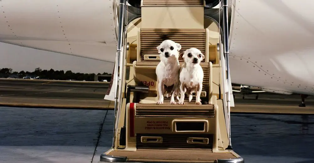 Top 4 travel trends of the week