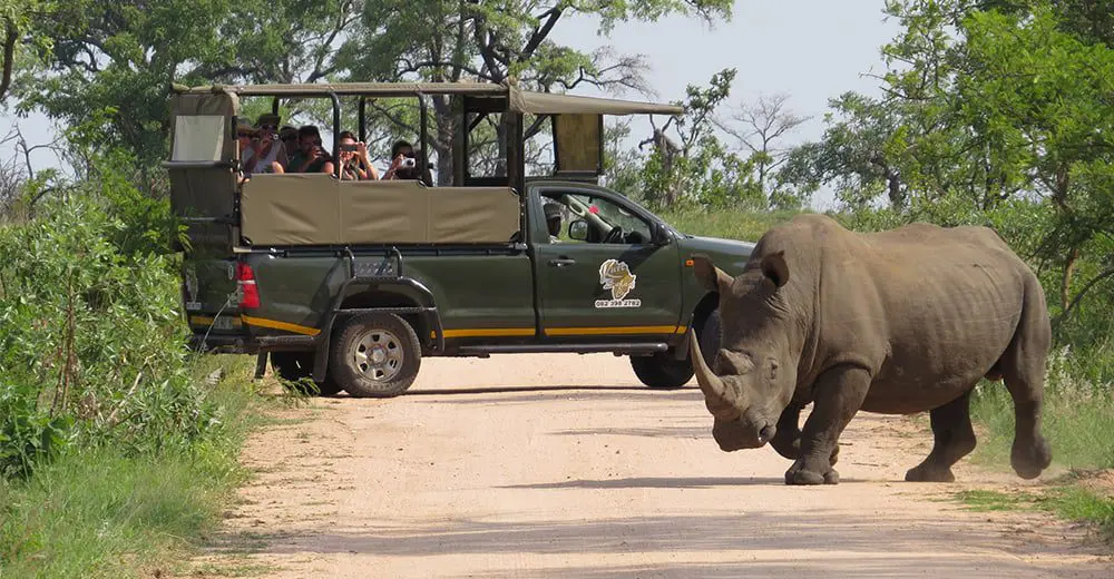 5 must-take snaps in South Africa