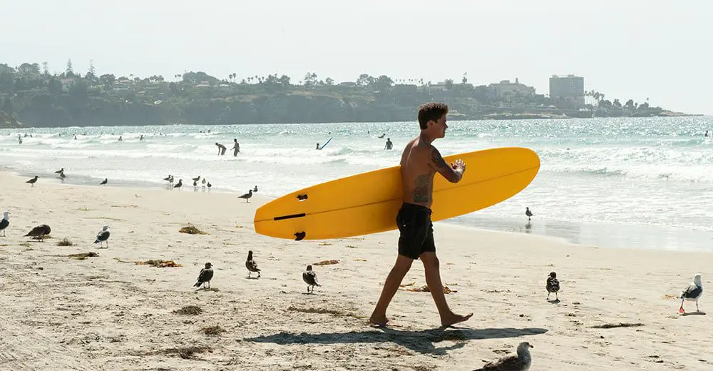 Top 5 reasons to visit California 