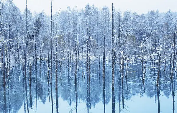 GOING BEYOND THE SURFACE OF JAPAN WILL DEFINITELY SURPRISE YOU 26 jnto54