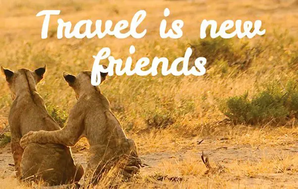 Fri 18 Sep: 10 travel news stories you need to know today 28 Intrepid New Friends