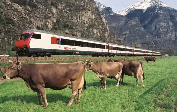 travel news Swiss Travel