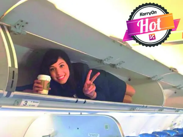 travel flight attendant