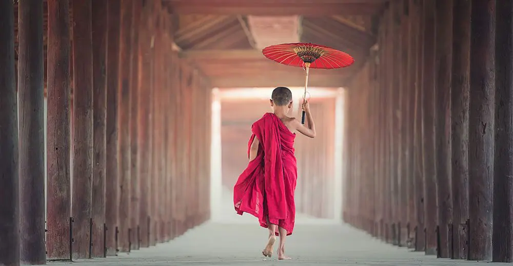 GET FIRST DIBS ON THIS WU-NDERFUL OFFER!