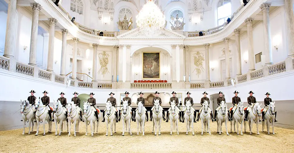 The ballet of the white stallions