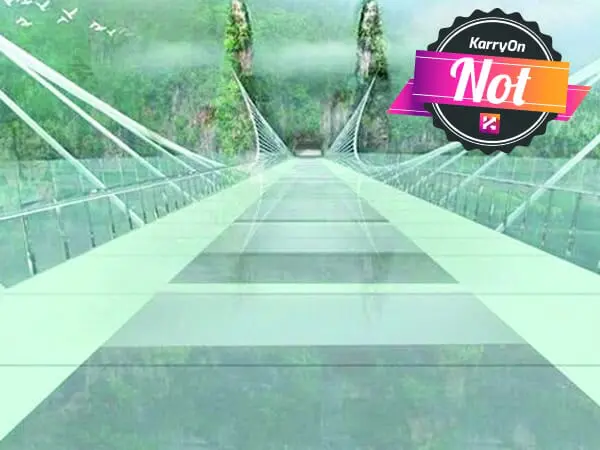 bridge not