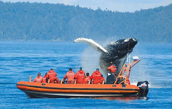 Snap up the savings by booking an early bird holiday to North America now! 21 c33